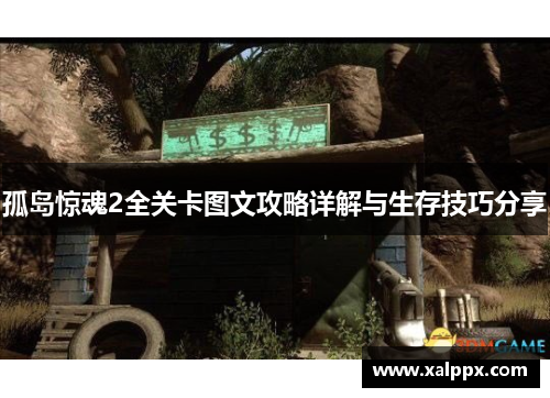 孤岛惊魂2全关卡图文攻略详解与生存技巧分享